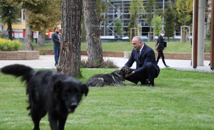 Başkan Özlü’den hayvanları koruma günü mesajı