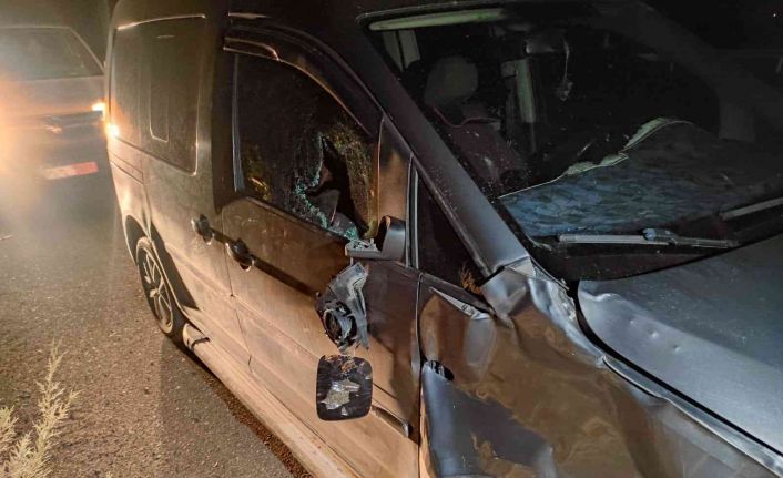 Batman’da gece karanlığında ana yola çıkan inek faciaya neden oluyordu