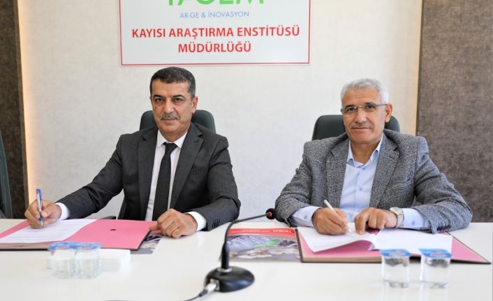 Battalgazi Belediyesi ile Kayısı Araştırma Enstitüsü arasında işbirliği protokolü imzalandı