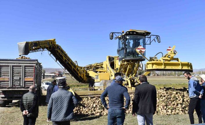 Bayburt’ta bu yıl hedeflenen şeker pancarı üretimi 72 bin 500 ton