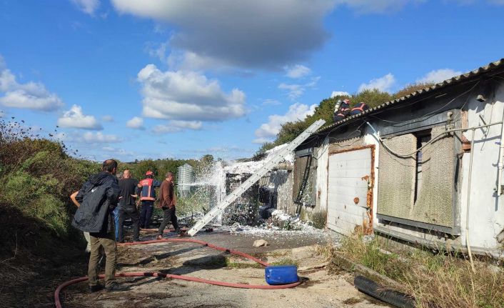 Binlerce tavuğu telef olmaktan itfaiye kurtardı