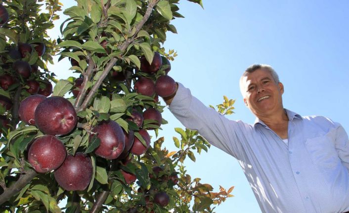 Burada olmaz dediler, şimdi her ağaçtan 100 kilo ürün alıyor