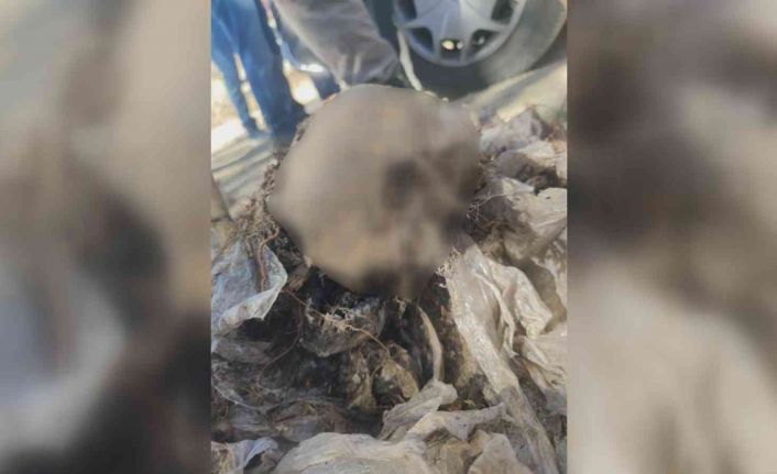 Cesetleri 9 yıl sonra toprak altında gömülü halde bulunan iki kardeşin yasak aşk cinayetine kurban gittiği öğrenildi