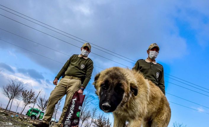 Çevre, Doğa ve Hayvanları Koruma Polisleri “dilsiz canları” yalnız bırakmıyor