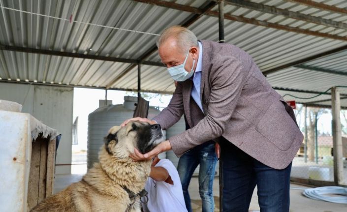 Didim’de can dostlar için ameliyathane açıldı