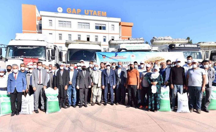 Diyarbakır’da 650 çiftçiye 4 milyon lira değerinde 210 ton mercimek tohumu desteği