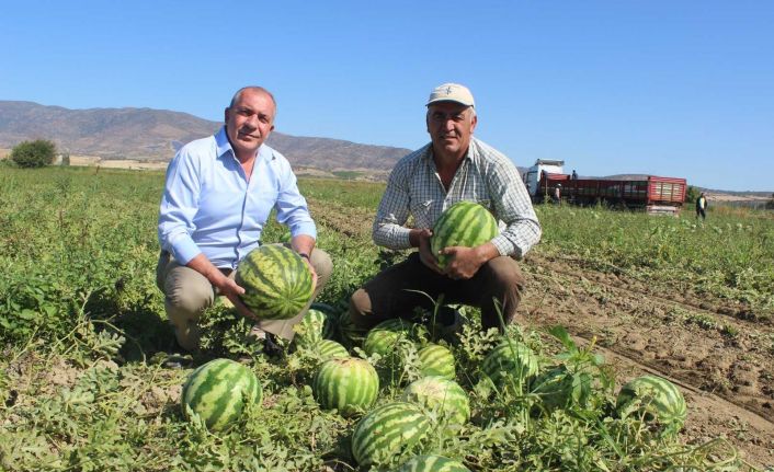 Dubai’nin karpuzu Manisa’dan