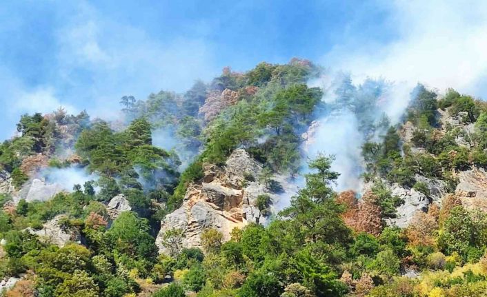 Ekipler, Osmaniye’deki yangın bölgesine karadan hortum döşüyor