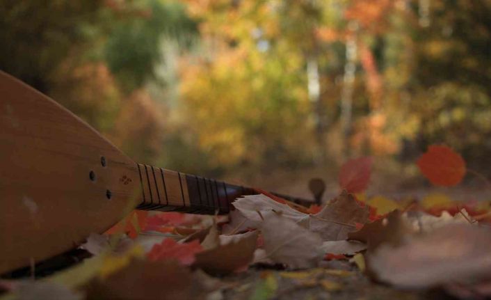 Elazığ’da sonbaharda rengarenk olan ağaçlar havadan görüntülendi