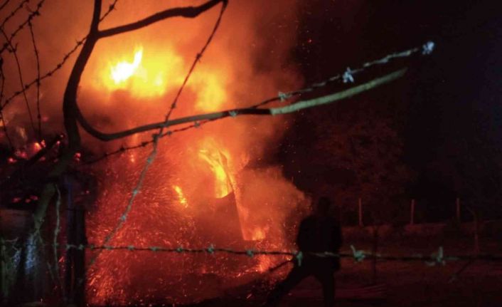 Erzurum’da alevler geceyi aydınlattı: 2 ev, 5 ahır ve 1 kiler kül oldu