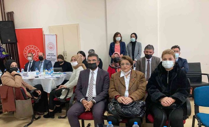 Erzurum’da ’Kadına Yönelik Şiddetle Mücadele İl Eylem Planı’ çalıştayı