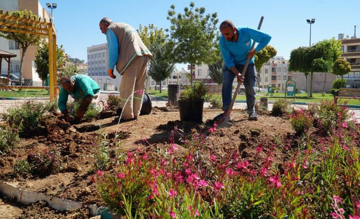 Haliliye’de parklarda yenileme çalışması
