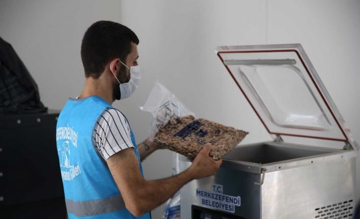 Hastanede arta kalan yemekler can dostlarına mama oluyor