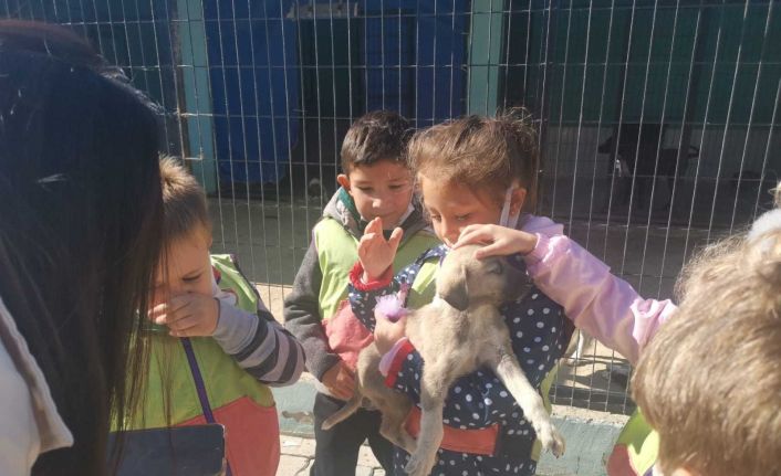 Hayvan Bakımevi genç ve minik hayvanseverleri ağırladı