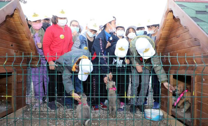 “Hayvan beslemek merhamet duygunuzu geliştirir”