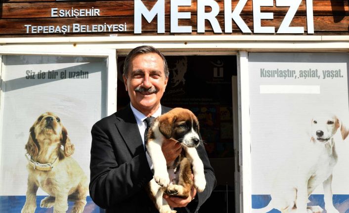 Hayvan dostlarına teşekkür edildi