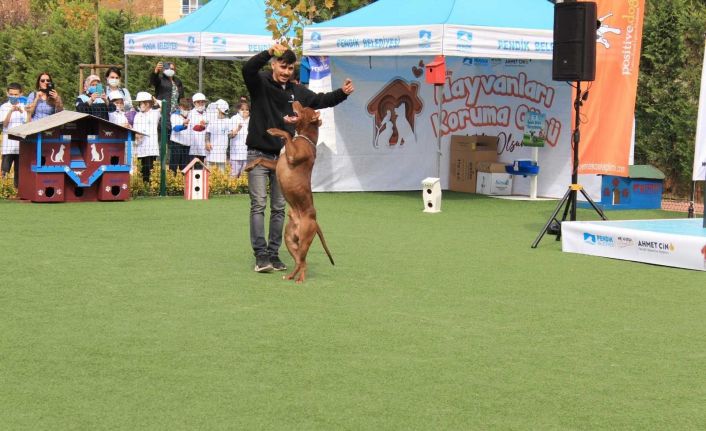 Hayvanları Koruma Gününde Pendik’te PatiFest düzenlendi
