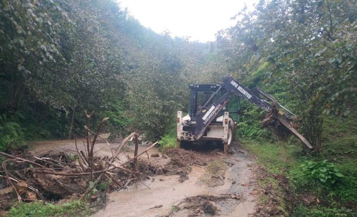 Hopa ve Kemalpaşa’da sağanak yağış etkili oldu
