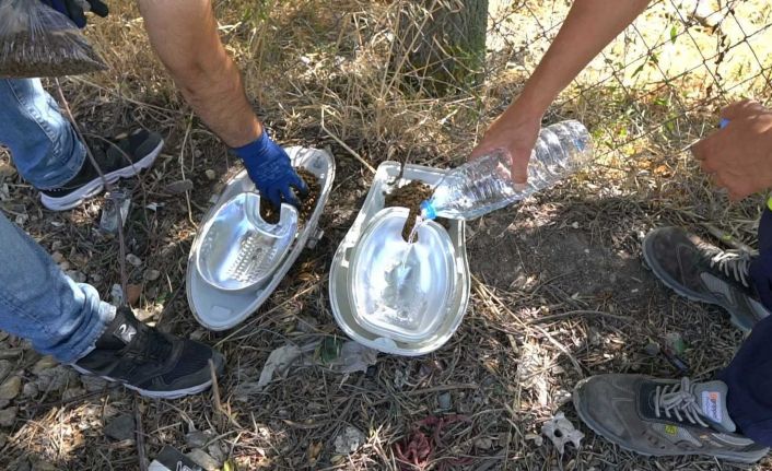 Hurda armatürler, sokak hayvanları için hayatı aydınlatıyor