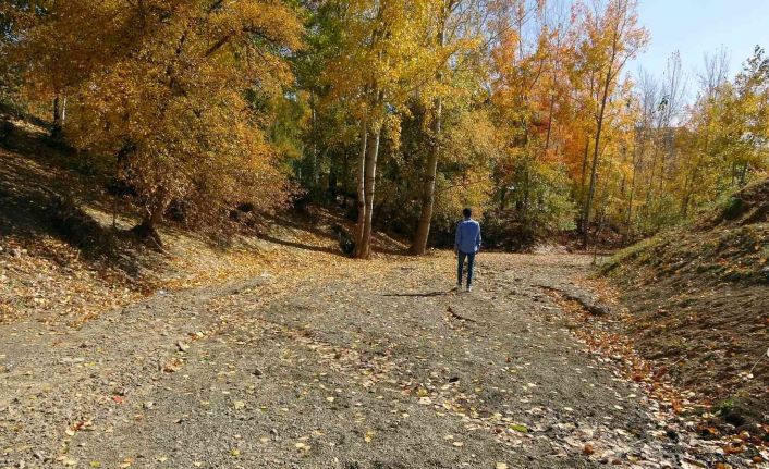 İlkbaharda gürül gürül akan dere yatağı şimdi yol olarak kullanılıyor
