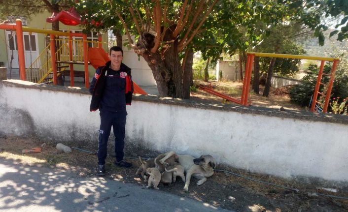 İtfaiyeden yavru köpek kurtarma operasyonu