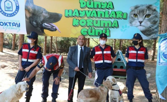 Jandarma Hayvanları Koruma Gününü unutmadı