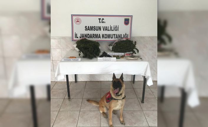Jandarma uyuşturucu ve ruhsatsız tabanca ele geçirdi: 1 gözaltı