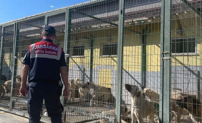 Jandarmadan hayvan bakımevlerine ziyaret