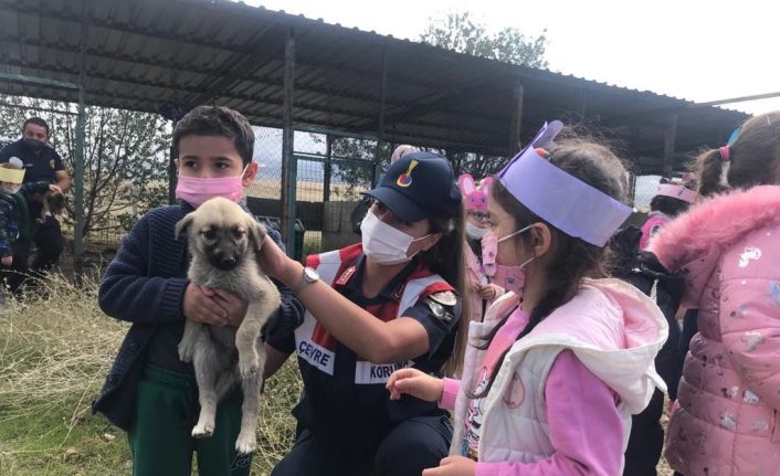 Kırıkkale’de öğrenciler hayvan barınağını ziyaret etti
