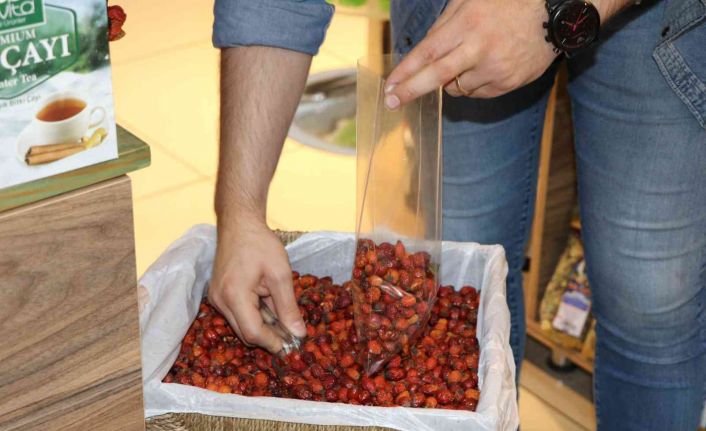 Kış erken geldi, aktarlarda en çok satılan ürünler ıhlamur ve kuşburnu oldu