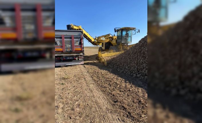 Kulu’da pancar hasadı erken sökümüne başlandı