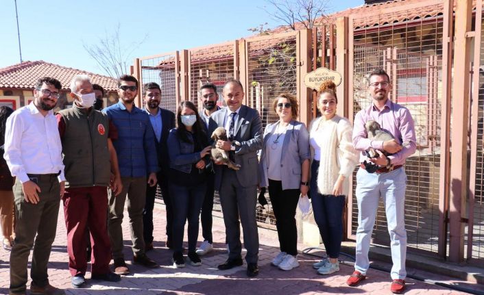 Malatya’ya tam teşekküllü hayvan hastanesi