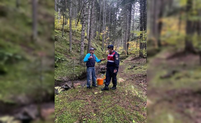 Mantar toplarken kaybolan 2 kişi 3 saatlik aramada bulundu
