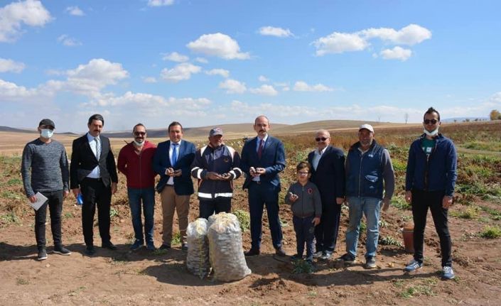 Mor şifa topraktan çıkartıldı