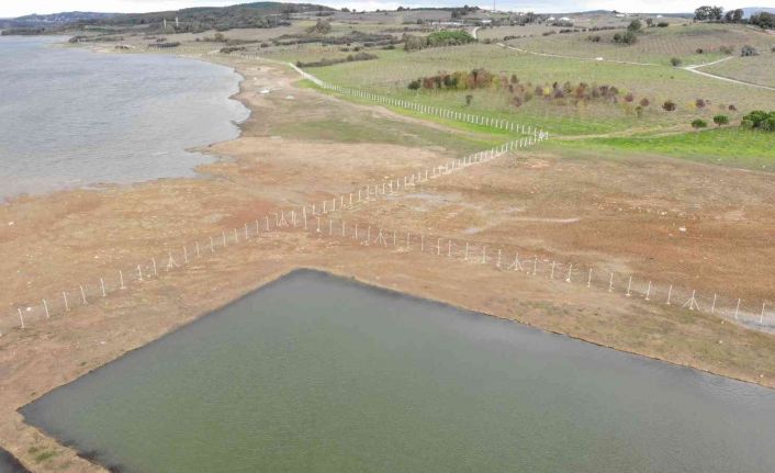 Ömerli Barajı’nda tellere takılıp telef olan hayvanlar suların çekilmesi ile görüldü