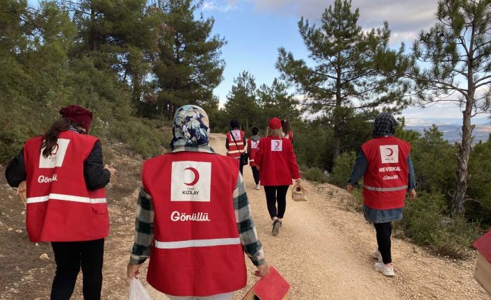 Ormanlık alana kuş kafesleri yerleştirerek hayvanlar için kaplara yem ve su koydular