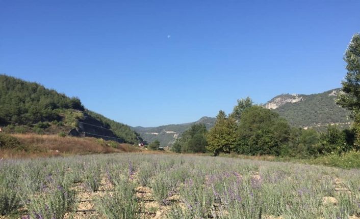 Osmaneli mor renge büründü