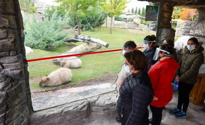 Özel bireyler hayvanları tanıdı