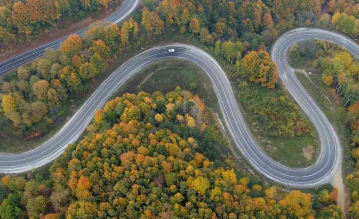 (Özel) Bursa Ormanları’nda renk cümbüşü  havadan görüntülendi
