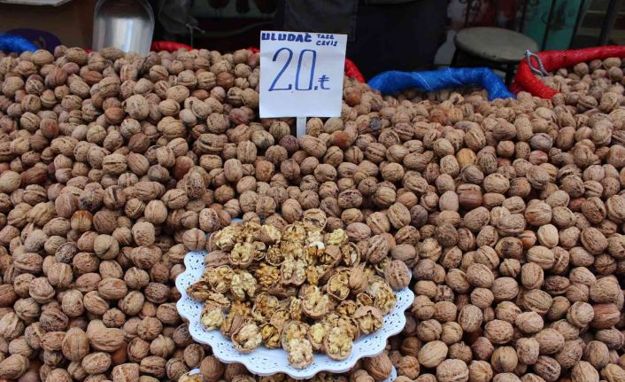 (Özel) Çetin ceviz enflasyonun tersine gidiyor