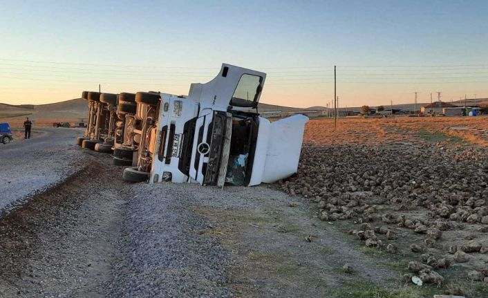 Pancar yüklü tır devrildi: 1 yaralı