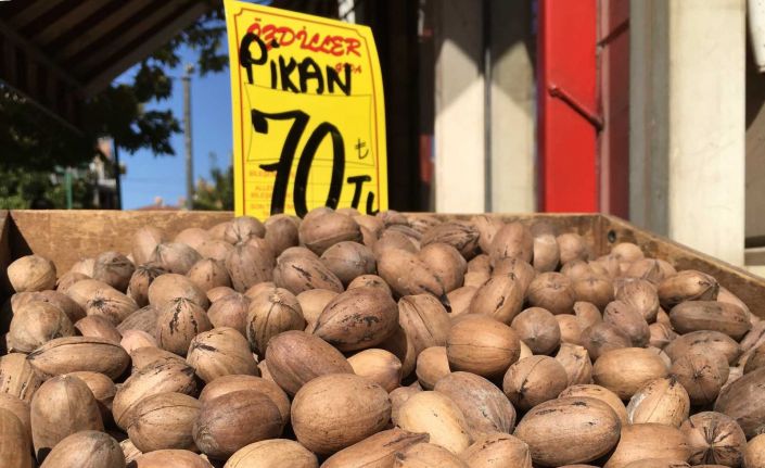 Pikan cevizine ilgi her geçen gün artıyor