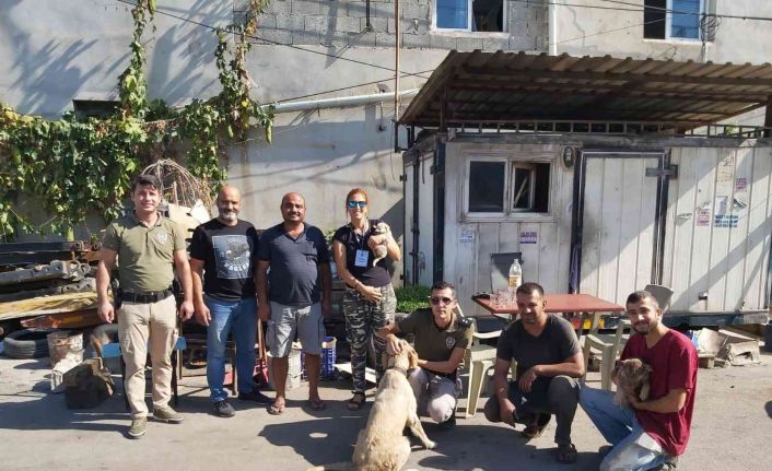 Polisten sokak hayvanlarına destek
