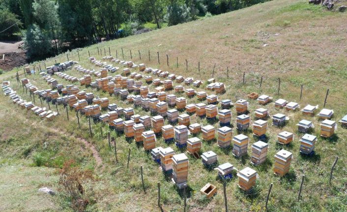 Proje meyvelerini verdi, ilk ürün alındı