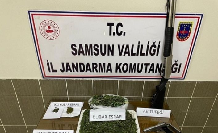 Samsun’da 5,1 kilo kubar esrar ve 4 bin kök kenevir bitkisi ele geçirildi: 15 gözaltı