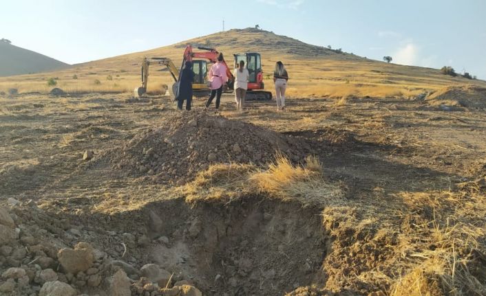 Şanlıurfa’da 63 bin fidanla yeni bir ormanlık alan oluşturuluyor