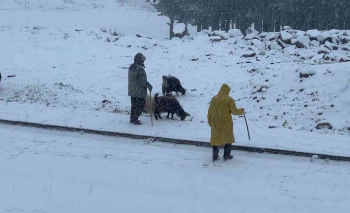Sarıkamış’ta etkili olan kar yağışı şehir merkezini beyaza bürüdü