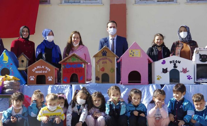 Sokak hayvanları için yuva yaptılar