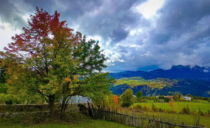 Sonbaharın gelişi ile sakin şehir Şavşat’ta renk cümbüşü başladı