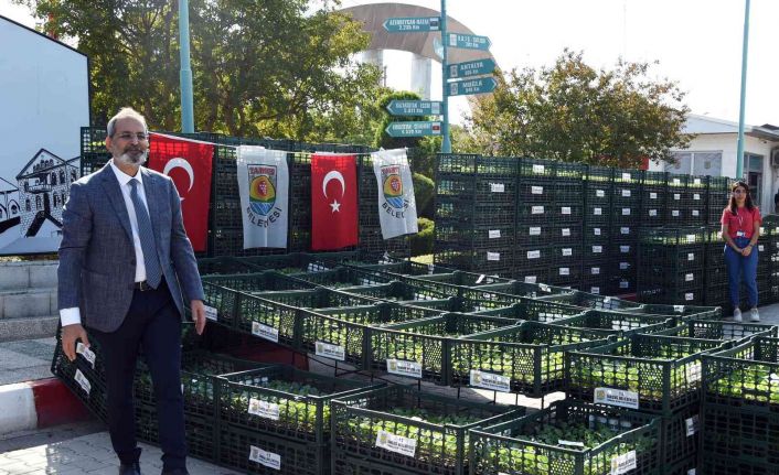 Tarsus Belediyesi, çiftçilere 500 bin adet karnabahar, brokoli ve marul fidesi dağıttı